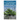 A Californian's Guide to the Trees Among Us: Expanded and Updated