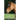 Horses 2021 Diary: Slim Pocket Calendar, Monthly Planner, Date Book, Organizer, Notepad