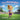 I'm a Hummingbird: An Adventure with Pixie Littlefield