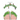 Greentoes