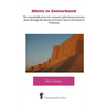 Khiva to Samarkand - The remarkable story of a woman's adventurous journey alone through the deserts of Central Asia to the heart of Turkestan