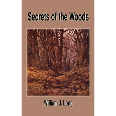 Secrets of the Woods