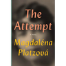 The Attempt