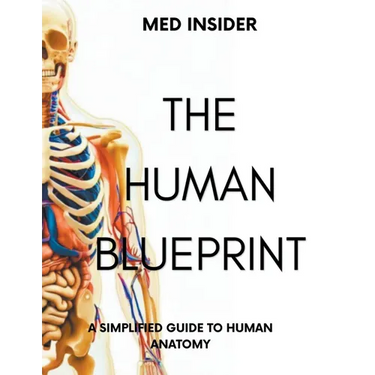 The Human Blueprint
