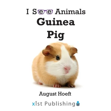 Guinea Pig