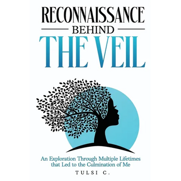 Reconnaissance Behind The Veil