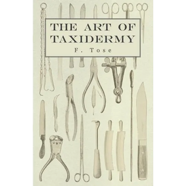 The Art of Taxidermy