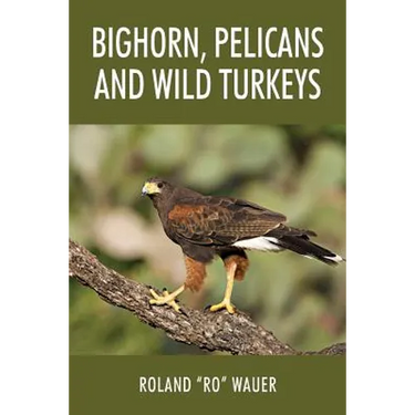 Bighorn, Pelicans and Wild Turkeys