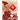 History of the 4th Marine Division 1943-2000