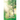 Reflections of My Heart