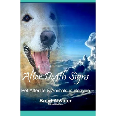 After Death Signs from Pet Afterlife & Animals in Heaven: How to Ask for Signs & Visits and What it Means