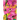 Orchids
