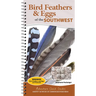 Bird Feathers & Eggs of the Southwest: Identify 40 Species of Common Backyard Birds