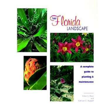 Your Florida Landscape: A Complete Guide to Planting and Maintenance