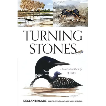 Turning Stones: Discovering the Life of Water