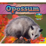 Opossum