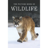 The Picture Book of Wildlife: A Gift Book for Alzheimer's Patients and Seniors with Dementia
