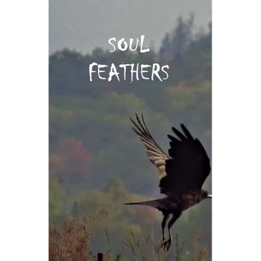 Soul Feathers