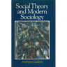 Social Theory and Modern Sociology