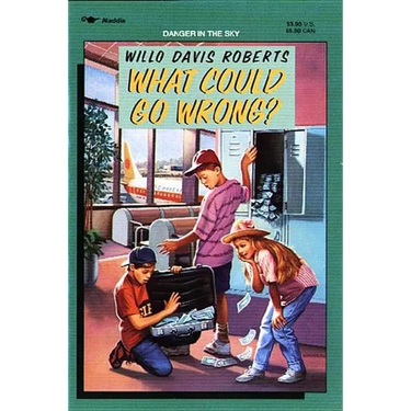What Could Go Wrong?