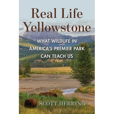 Real Life Yellowstone: What Wildlife in America's Premier Park Can Teach Us