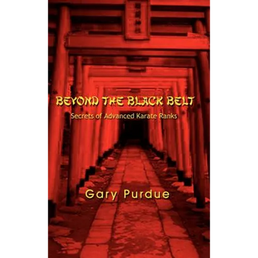 Beyond the Black Belt: Secrets of Advanced Karate Ranks