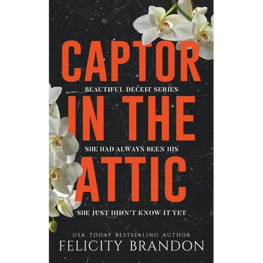 Captor In The Attic