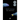 Moon Wrasse