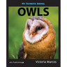 My Favorite Animal: Owls
