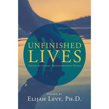 Unfinished Lives: Poetry by Gifted, Misunderstood Minds