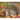 Gray Squirrels