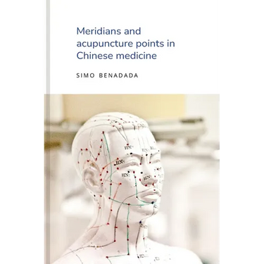Meridians and acupuncture points in Chinese medicine