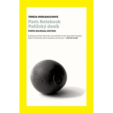 Paris Notebook: Poems (Bilingual Edition)