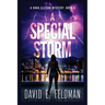 A Special Storm: Crime Fiction Novels (A Dora Ellison Mystery Book 5)
