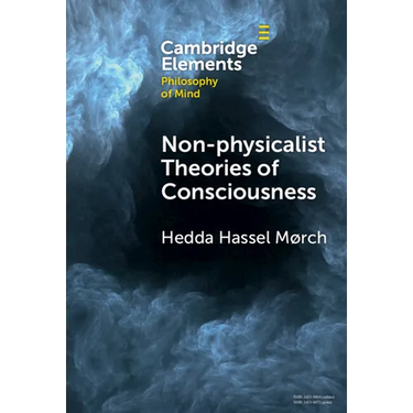 Non-physicalist Theories of Consciousness