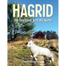 Hagrid The Tiny Lamb With The Big Name