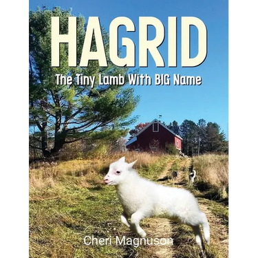 Hagrid The Tiny Lamb With The Big Name