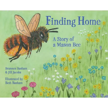 Finding Home: A Story of a Mason Bee
