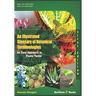 An Illustrated Glossary of Botanical Terminologies: An Easy Approach to Plant Terms