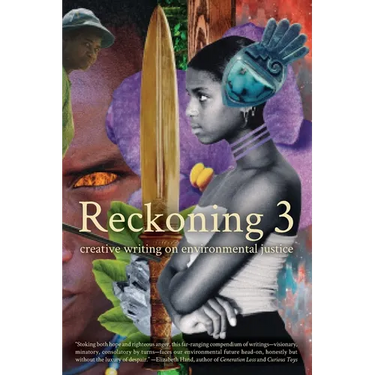 Reckoning 3