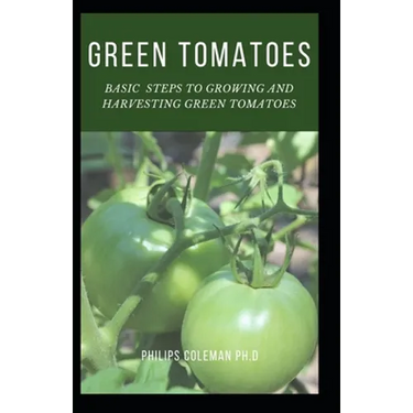Green Tomatoes: Basic Steps To Growing And Harvesting Green Tomatoes