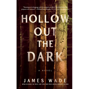 Hollow Out the Dark