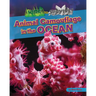 Animal Camouflage in the Ocean