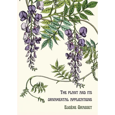 The plant and its ornamental applications