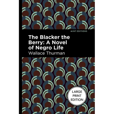 The Blacker the Berry: A Novel of Negro Life