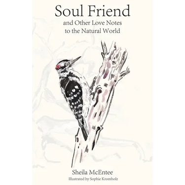 Soul Friend: And Other Love Notes to the Natural World