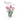 Bloomin': Where Poetry and Growth Meet