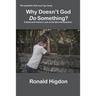 Why Doesn't God Do Something?: A Bold and Honest Look at the Eternal Question