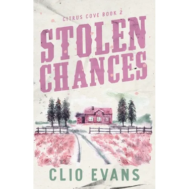 Stolen Chances: A Single Mom, MMF, Small Town Romance Suspense