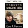 Tony and the Haunted Goldmine